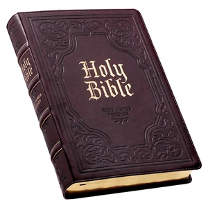 KJV Bible Giant Print Full Size Dark Brown - Picture 1 of 12