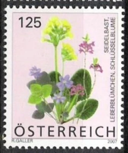 Österreich Nr.2633 ** Freimarke Blumen 2007, postfrisch - Bild 1 von 1