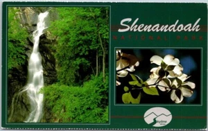 White Oak Falls Flowering Dogwood Shenandoah Virginia VTG Chrome Postcard A88 - Picture 1 of 2