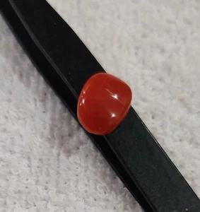 Piedra preciosa suelta pulida coral rojo mediterráneo cabujón coral marino 100 % natural. - Imagen 1 de 6