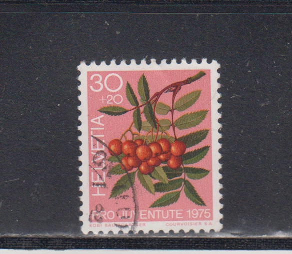 SWITZERLAND : 1975 - USED - SCOTT # B436   SEMI-POSTAL  FLOWERS - Image 1 of 1