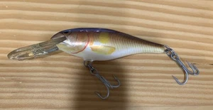 DE COLECCIÓN Rapala SHAD RAP Japón color especial OCHIAYU (color ayu antiguo) ¡muy raro! - Imagen 1 de 10