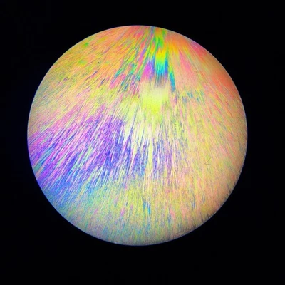 Редкий Старинный Микроскоп Слайд 1950 Полярный Антипиреновый Плавленый J Wells. - Изображение 1 из 4