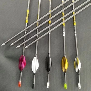 12pcs 30.5in ID4.2mm Pure Carbon Arrow Spine350-900 with 1.8in Spin Vanes Huntin - Picture 1 of 5