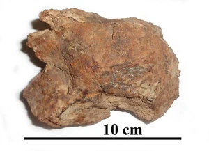 Condrita L4-5 METEORITO JAH 055, excelente fragmento completo, Omán, 534 gramos - Imagen 1 de 3