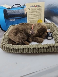 Perfect Petzzz The Original Breathing Pet Chocolate Labrador Puppy Bed & Carrier - Picture 1 of 10