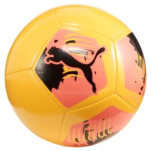 Puma Balón de Fútbol Sala Oficial 084214 02 2023/2024 Talla 4 5 Naranja - Imagen 1 de 1