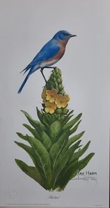 RAY HARM BLUEBIRD ON MULLEIN- BEAUTIFULLY LIFELIKE & IMPOSSIBLE 2 FIND-WATERMARK - Picture 1 of 12