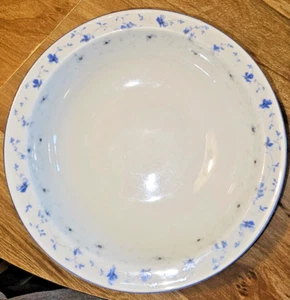Arzberg Alemania Flores Azules 9-3/4" Cuenco para Servir Azul Porcelana De Colección  - Imagen 1 de 3