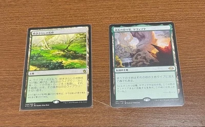 Magic The Gathering Windswept Wilderness and Yavimaya Set Nonfoil 2 Card Set - Image 1 of 2