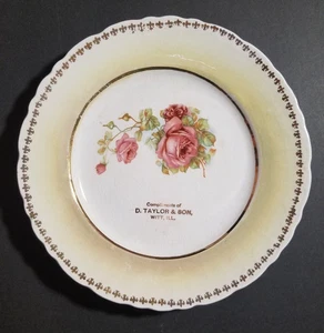 Witt, Illinois Vintage Store Advertising Plate, Flower Pattern, D. Taylor & Son - Picture 1 of 4
