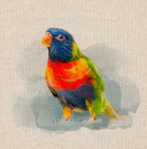 Paneles de cojín artesanales de tela rica en algodón loro arco iris loro aspecto animal - Imagen 1 de 2