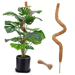 48 Inch Bendable Moss Pole for Plants Monstera, climbing Plants Indoor, etc. - Picture 1 of 4