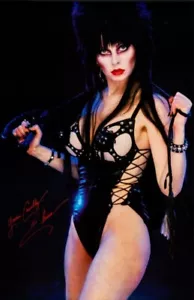 Elvira Mistress Of The Dark Movie Vintage Retro Style Poster - Picture 1 of 4
