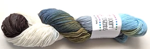 Loopy Legends - The Loopy Ewe 80% Superwash/20% Nylon Tracie's Organic Garden - Imagen 1 de 2