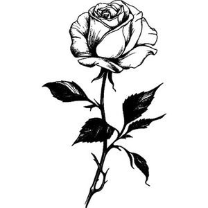 'rose' Rubber Stamp - Unmounted Design for Crafting & Scrapbooking (RS039827) - Picture 1 of 6
