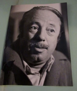 BELLE PHOTO DE PRESSE ARMAND LANOUX 1970 ECRIVAIN PRIX GONCOURT ACADEMIE - Picture 1 of 2