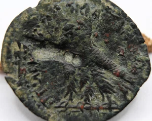 Ptolemaic Egypt | Cleopatra III & Ptolemy X | AE28 | Eagles | CENTRATION ERROR - Picture 1 of 8