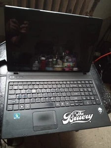 Acer Aspire Notebook 5552 15.6" AMD Phenom II N970 2.2GHz Quad 4GB Ram  HDD - Picture 1 of 4