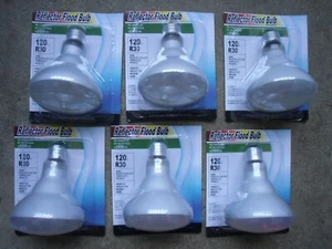 6 X 100W Watt R30 120V Medium Base Flood Light Bulb Frosted Reflector - Picture 1 of 1