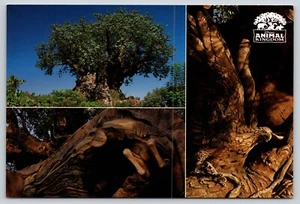 Postal Árbol de la Vida Disney's Animal Kingdom Bay Lake Florida - Imagen 1 de 2