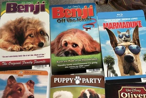 Menge 9 Hund Film Blockbuster Display Karten Benji Marley Lassie Hotel für Hunde - Bild 1 von 23