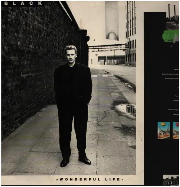 Black Wonderful Life A&M Records Vinyl LP - Bild 1 von 1