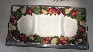 JCPENNEY FALL HARVEST DIVIDED SERVING TRAY COLORFUL New in box - Picture 1 of 4