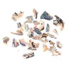 Shell Piece 3D Charm Nail Art Decoration Slice DIY Beauty Nail Decals Manicure