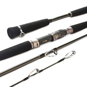 Boat Jigging Spinning Fishing Rod Pole Japan High Carbon Fast MH Power Inshore S