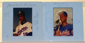 2 negativos fotográficos diapositivas de J. Wallin 1994-95 MLB Montreal Expos Moises Alou - Imagen 1 de 1