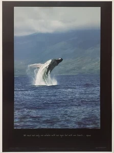 Wyland "Whale Flight" Maui Hawaii Whale Breach photography New ocean art poster - Picture 1 of 8