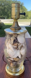 SEASHELL FILLED TABLE LAMP - Picture 1 of 6