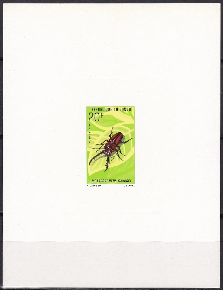 Congo Sc228 Insect, Metopodontus Savagei, Lucanidae, Deluxe Proof - Image 1 of 1