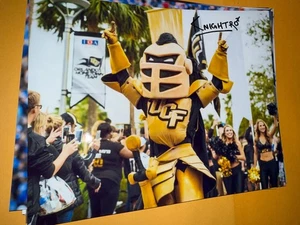 Knightro UCK Golden Knights Maskottchen signiert 8x10 Foto - Bild 1 von 1