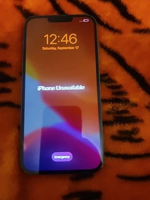 iPhone 13 Pro Max FMI ON READ DESCRIPTION - Image 1 of 4