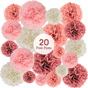 20 Piece Tissue Paper Pom Poms | Blush Pink, Dusty Rose, Mauve & Cream | Colorfu - Picture 1 of 12