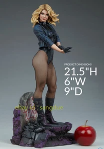 SS 1/4 300766 Black canary Female Figure Model Collectible Statue In Stock - Picture 1 of 6