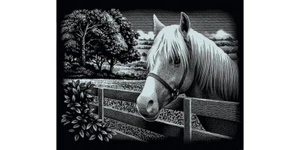 Imagen de rasguño "Mi caballo", plata, 20 x 25 cm - Imagen 1 de 1