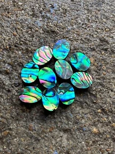 50 piezas 12x16 mm concha de abulón ovalada ambos lados respaldo plano piedra preciosa natural suelta - Imagen 1 de 4