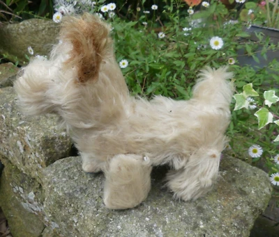 STEIFF jouet ancien CHIEN Articulé à remonter yeux verre nez cousu non testé 26c - Photo 1/4