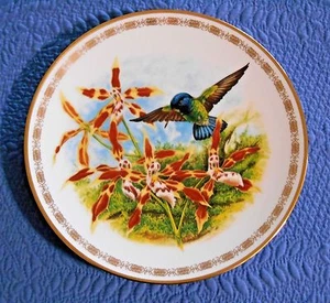 Blue Headed Sapphire Jeweled Hummingbirds Plate Collection Hamilton Landenberoer - Picture 1 of 3