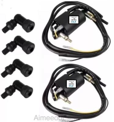 Bobina 2XIgnition para SUZUKI GS1150 GS1100 GS1000 GS850 GS750 12V 4ohm salida doble Foto 1 de 3