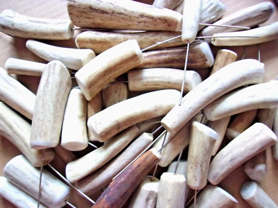 Selección de pezón (1) - Cuerno de asta genuino - Herramienta de limpieza de orificios de flash de pezón ¡Excelente!! Foto 1 de 3