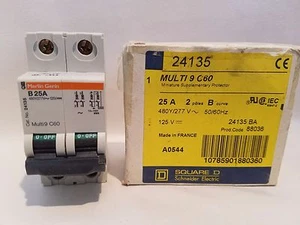 Square D 24135 BA B25A Leitungsschutzschalter 25 Ampere 2-polig Multi 9 C60 Schutzschalter  - Bild 1 von 5