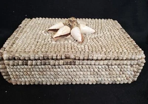 Vintage Contemporary Sailor Shell Art Conch and Cowrie Seashell Jewelry Box - Picture 1 of 11