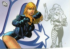 DC Legacy     Individual Trading Cards  