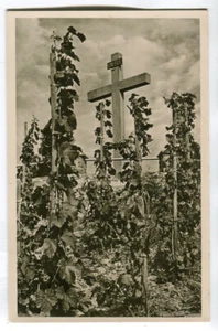 AK Rheinbreitbach, Koppel-Kreuz mit Weinberg 50er Jahre - Picture 1 of 2