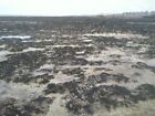 Photo 6x4 Rock pools between Minnis Bay and Grenham Bay at low tide Birch c2010
