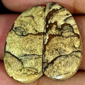 Par de piedras preciosas de cabujón de imagen natural de 21,00 quilates 11X25X3 mm - Imagen 1 de 4